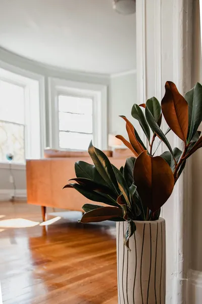 Achieving Stylish Tablescapes with Minimalist DecorIllustration